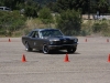 Mustang_2531 Mustang_2531