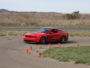 Mustang_0234 Mustang_0234