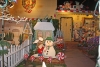 IMG_5114 IMG_5114