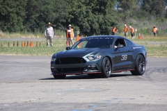 Dark_green_Mustang_4169