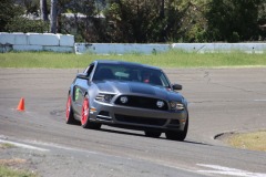 Mustang_0828