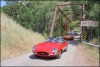 IMG_1638 IMG_1638