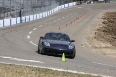 Cayman_6542