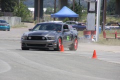 gray-mustang_6531