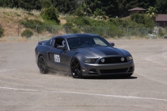 Gray_Mustang_2327