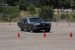 Mustang_2531