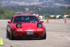 Red_Maita_2508