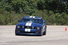 Bluewhite_mustang_7494
