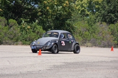 VW_bug_7557