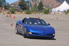 Blue_Vet_3237