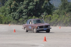 Brown_BMW_3347