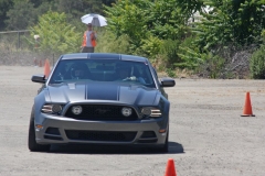 Gray_Mustang_3709