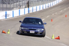 IMG_7132