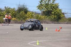 gray_VW_5883