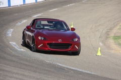 IMG_7773