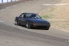 IMG_7767 IMG_7767