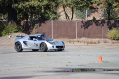 gray-Lotus_6547