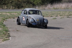 Gray VW_0069
