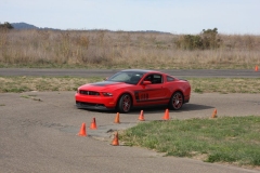 Mustang_0234