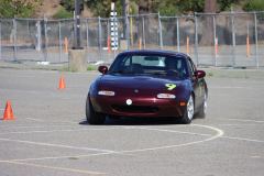 IMG_2904