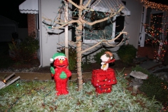 IMG_5417