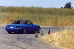 Auto3017