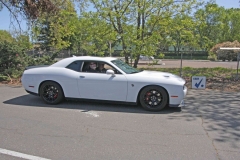 white-hellcat_3175