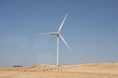 windmill_5676