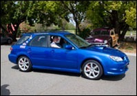07_blue_wag