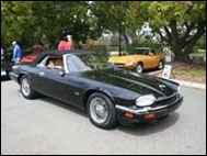 blackjag08