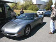 grayvet08