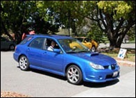 bluewag_09