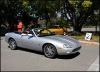 grayjag_09