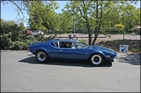 blue_pantera_checking_out
