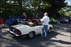 alfa