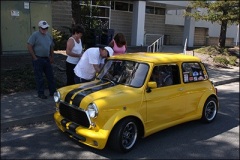 yellow-mini