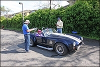 cobra