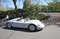 grey_spyder