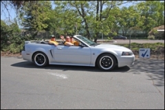 gray_conv_mustang