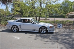 lite_gray_mustang