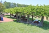 IMG_9083 IMG_9083